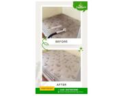 Carpet Cleaning Experts in North Brisbane – Quality Cleaning Guaranteed