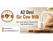 A2 Desi Gir Cow Milk – Pure, Fresh, Natural, Chemical-Free Daily Health Nutrition