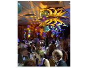 WETCAT Special Effects Lighting for Stunning Visual Experiences