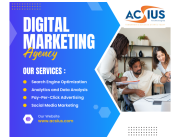 Digital Marketing Agency in India for Business Growth