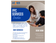 Professional Pay Per Click Management Services India