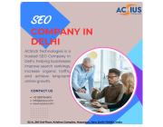 Best SEO Company in Delhi for Top Google Rankings