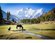 Travel to Kashmir Stress-Free – Speak with Our Team