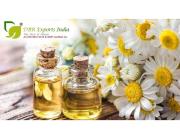 Chamomile Oil Manufacturer – Premium Quality Essential Oils
