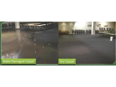 Best Flooded Carpet Drying Services Fast Water Damage Recovery
