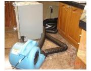 How Flood Damage Clean Up Protects Your Property