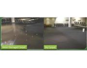 Need Trusted Support for Carpet Flood Damage Restoration?