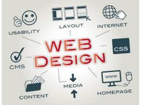 Invoidea is a Leading Website Designing Company in Delhi NCR for Business Success