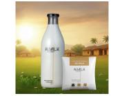 Premium Organic Milk Near Me from Trusted Dairy Farm