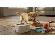 Keep Pets Active with Interactive Dog Toys