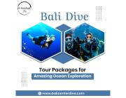 Bali Dive Tour Packages for Amazing Ocean Exploration