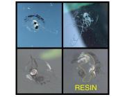 Windshield Stone Chip Repair