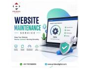 Annual website maintenance services India