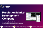 Enterprise Prediction Market Development Company