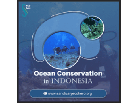 Ocean Conservation in Indonesia