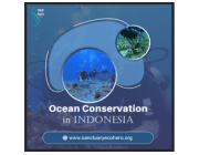 Ocean Conservation in Indonesia