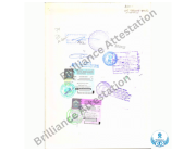 Certificate Attestation in Sharjah | Fast & Trusted UAE Attestation Services