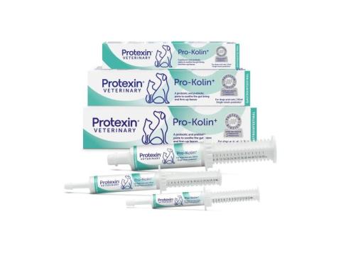 Support Healthy Digestion with Pro-Kolin For Dogs