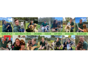 Dogdayz