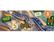Reptile Encounters