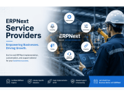 ERPNext Consulting Services