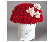 Summer Special 2026: Wrapped Rose Bouquet USA