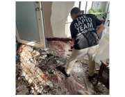 Flood Cleanup Emergency Rapid Recovery Team Orlando 24 Hour Emergency
