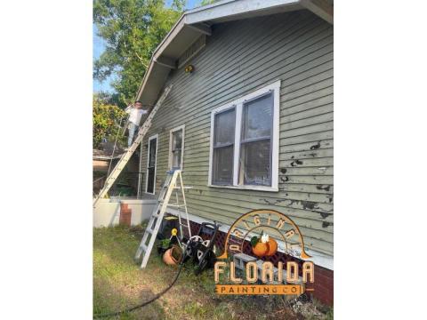 Professional painters in Tampa, FL