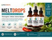 Melt Drops Reviews: Is It Worth Buying in 2026?