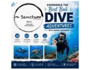 Experience the Best Bali Dive Adventures with Expert Guidance