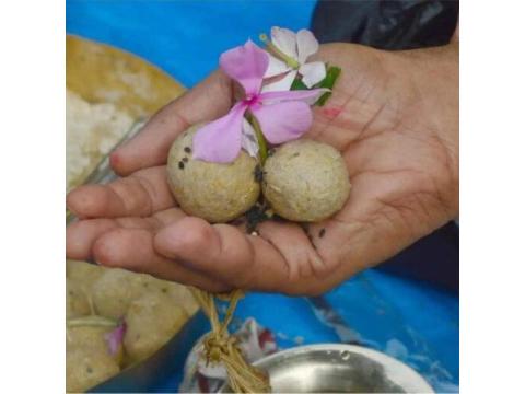 Pind Daan Puja Gaya Ji - Pind Daan & Shraddh Rituals