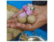 Pind Daan Puja Gaya Ji - Pind Daan & Shraddh Rituals