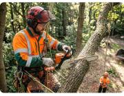 Tree removal services in Melbourne - Axetree Services!!