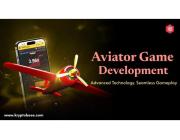 Capture Rising Player Demand with Professional Aviator Game Development