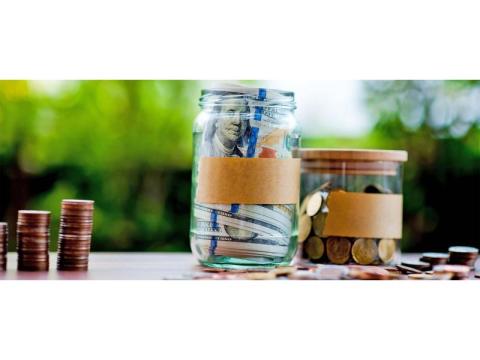 ELSS Mutual Fund Advisor Mumbai | Fortune Wealth