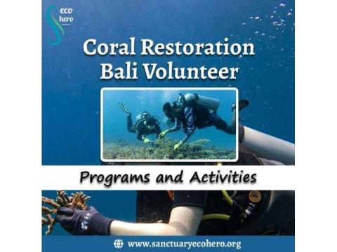 Coral Restoration Bali Volunteer Programs and Activities