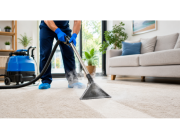 The Importance of Professional Carpet Cleaning Mornington Peninsula