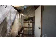Musty Odours Spreading? Mould Remediation Brisbane
