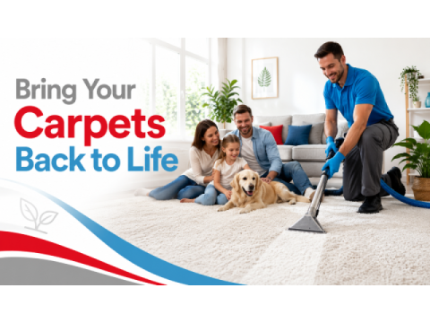 Reliable Carpet Cleaning Bulimba Solutions for Homes and Businesses