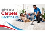Reliable Carpet Cleaning Bulimba Solutions for Homes and Businesses
