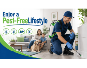 Reliable Pest Control Port Melbourne for Homes