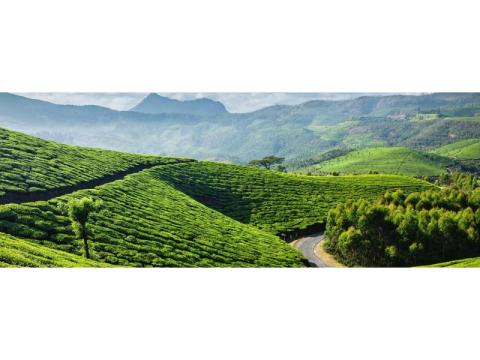 Reconnect with Nature at Kerala’s Exclusive Island Retreat | Odyssey Travels - 2/2