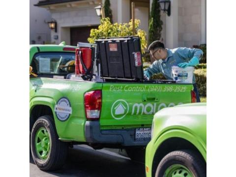 Affordable Pest Control Irvine | Reliable & Safe Solutions