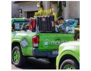 Affordable Pest Control Irvine | Reliable & Safe Solutions