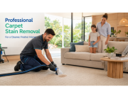 Reliable Carpet Cleaning Botany for Homes and Businesses