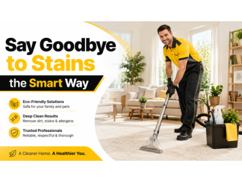 Quality Carpet Care Solutions Across Ellenbrook