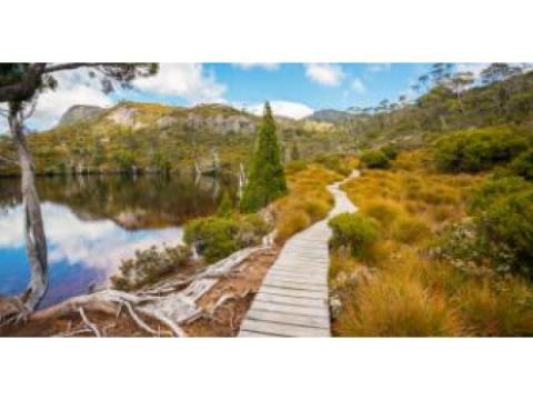 Tasmania Trails – Explore Waterfalls, Cliffs & Wildflowers