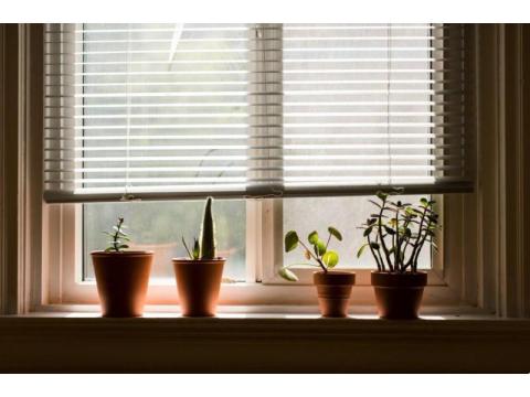 Linen Shades Window: Elegant and Functional Window Coverings