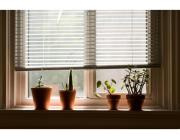 Linen Shades Window: Elegant and Functional Window Coverings