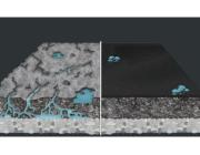 Drive Way Seal Ingersoll – Premium Sealcoating to Enhance Curb Appeal